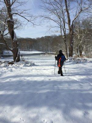 Fresh tracks on a beautiful snowy day