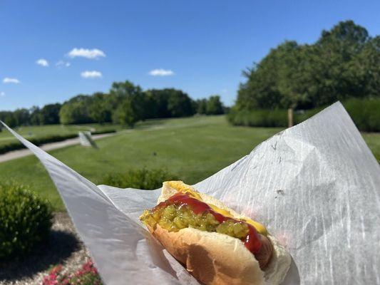 A dog and a view