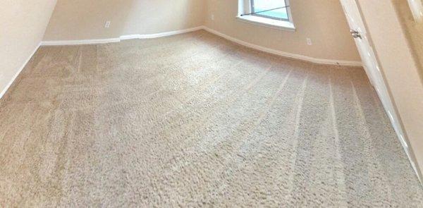 Carpet deep clean in Master bedroom