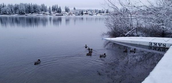 Silver Lake 1-12-2020