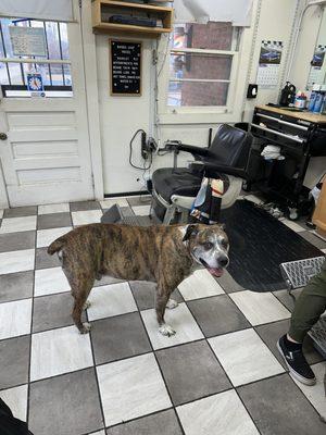 DeHart's Barber Shop