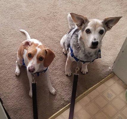 Merlyn and Grace practicing Follow Door