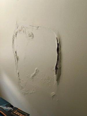 plaster wall behind shampoo holder area leak after 3 yrs