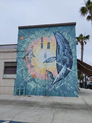 Whale Mural