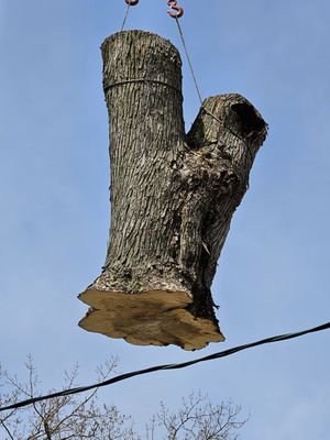 Dawsons Tree Service