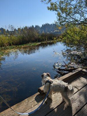 Furry Well-Being