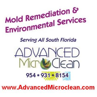 South Florida Mold Removal and Remediation - AdvancedMicroclean.com