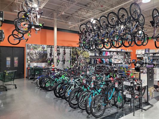 Bikes are back in stock!