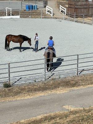 Large arena riding