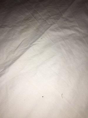 Black and gray particles on the comforter.  Evidence of ashes or something else that did not belong on a clean bed.