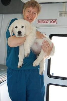 Dr. VanKoevering - courtesy Paw's Mobile website