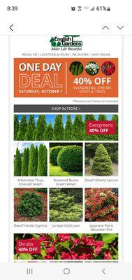 One Day Saturday, 10/1 Deal On Evergreens & Shrubs At 40% Off.   9/30/2022