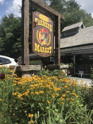 Black-eyed Susans in bloom