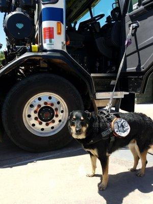 Trash Trucks are cool!