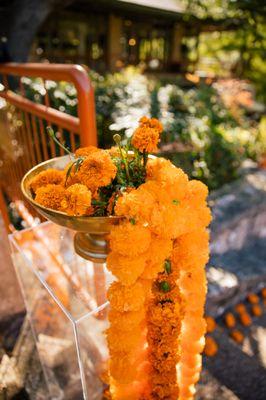 Cascading Marigolds