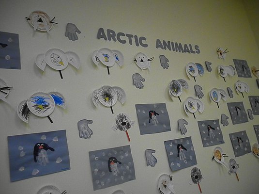 learning about arctic animals