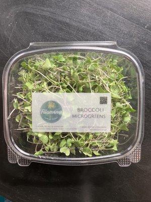 Broccoli Microgreens 1.5 oz