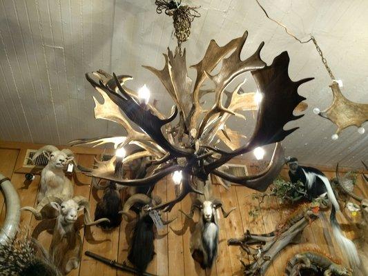 Yes, this is a chandelier made from antlers.