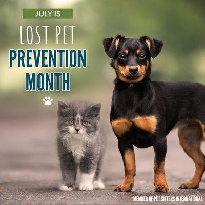 July is Lost Pet Prevention month