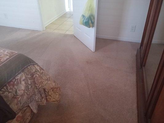 Clean Rite Carpet Cleaning