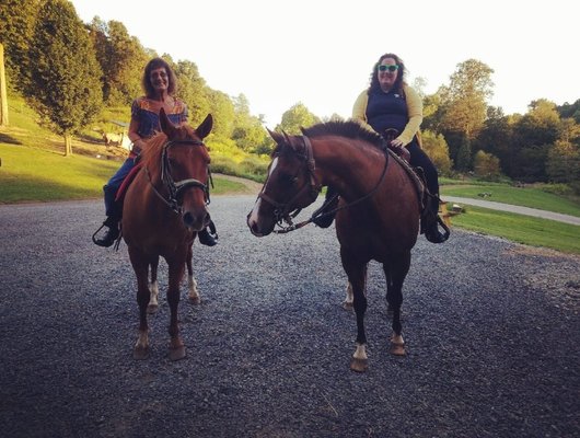 Ringo and Daisy, two gorgeous a Quarter horses we had ridden at Off the Rail Farm!