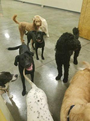 Daycare Group Picture