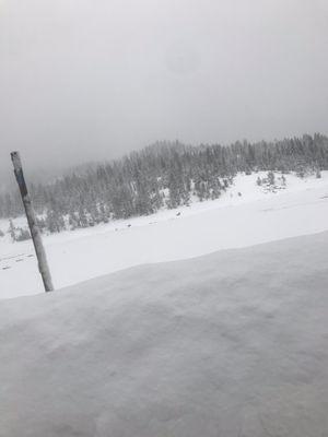 Shaver lake all frozen