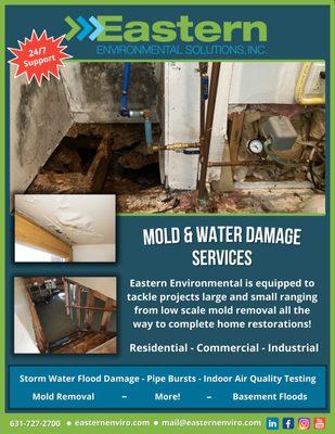 Mold & Water Damage Services Flyer