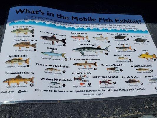 Mobile fish exhibit