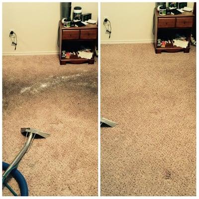 Before and after photo of our carpet cleaning services.