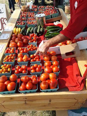 Carter's Red Wagon Farms