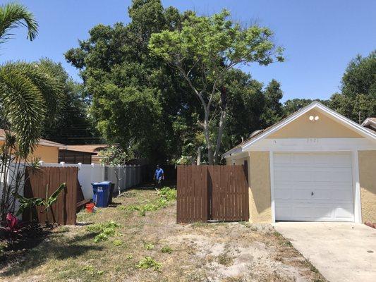 Goode Rain Tree removal