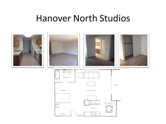 Spacious Studios - 600 sf,