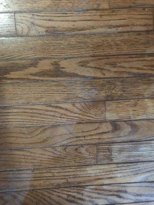 Right side: my floor after sanding & staining. Left side: my original floor. It's a perfect match (once I clean my original floor)!