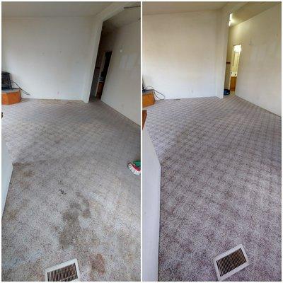 Emmanuel Carpet Cleaning