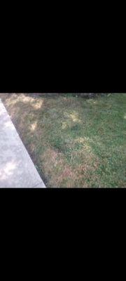 Grass cut