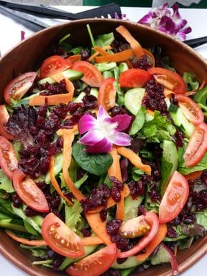 Mixed Greens with cranberries & tomatoes