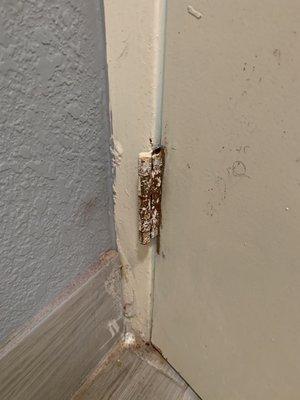 Rusty door hinges