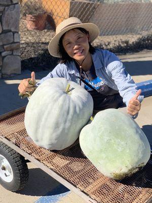 Proud gardener, Li