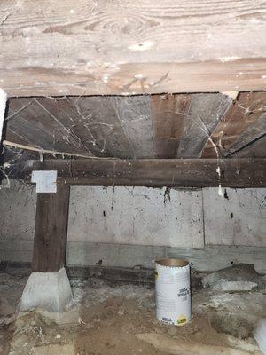 Before photos of a crawlspace beam repair we did.