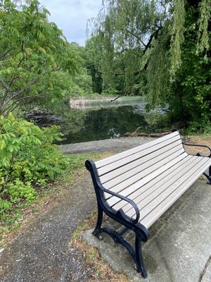 Bench by the Pond and River Drive