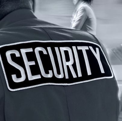 Lanes Special Security Services