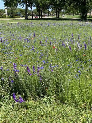 Berkner Park