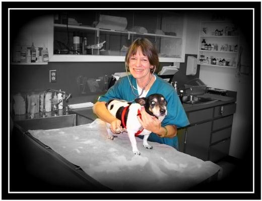 Hidden Hills Animal Hospital