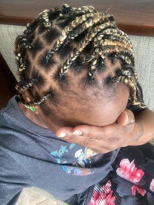 Knotless braids/ mixed colors