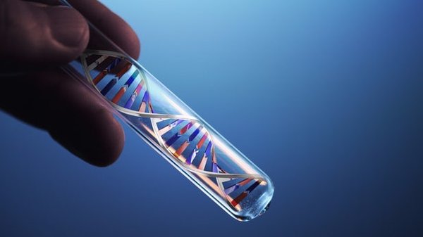 DNA