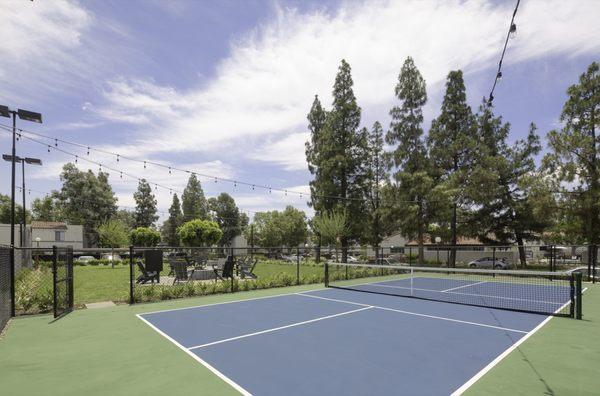 Pickleball Court