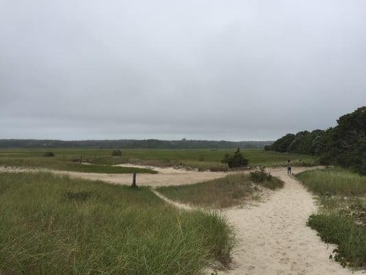 The road into beach