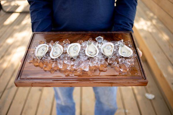 Misty Point Oysters