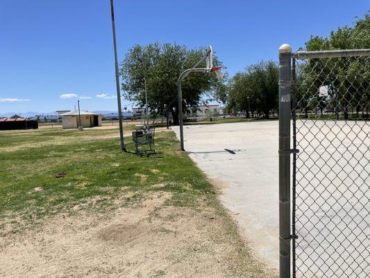 Basketball court